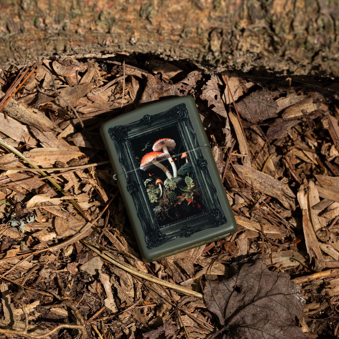 Framed Fungi Design